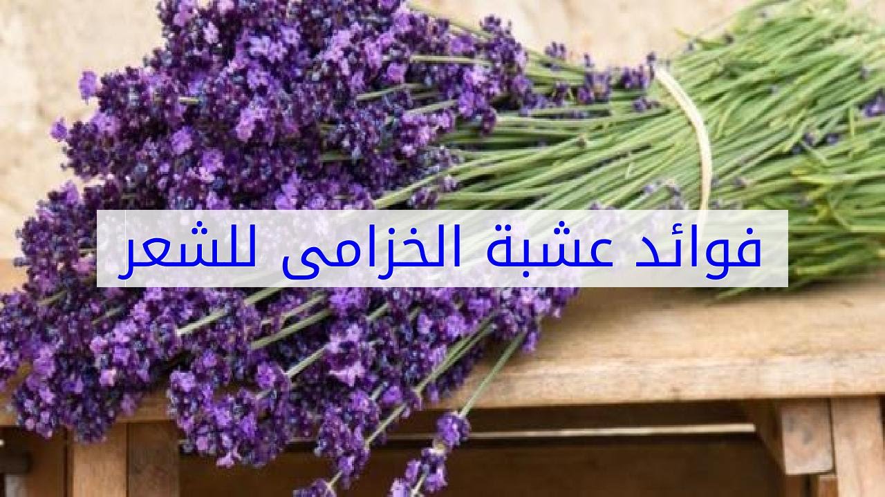 وصفة سحرية للشعر تونك الخزامى تكثير وتنعيم الشعر